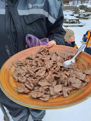 Stekt reinsdyrkjøtt. 